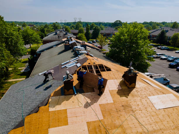 Quick and Trustworthy Emergency Roof Repair Services in Hargill, TX