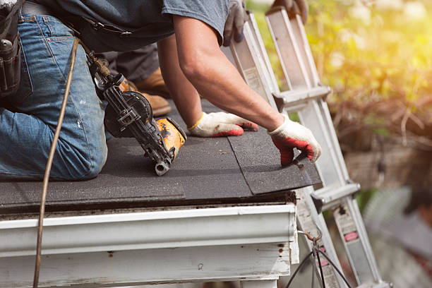 Best Local Roofing Companies  in Hargill, TX